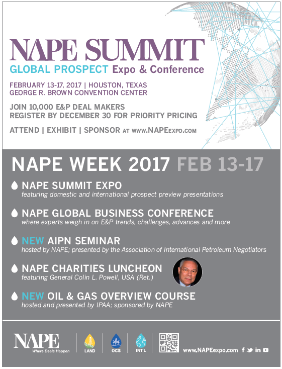 NAPE_Summit_Flyer.png